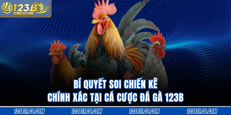 Bí quyết soi chiến kê chính xác tại cá cược đá gà 123B