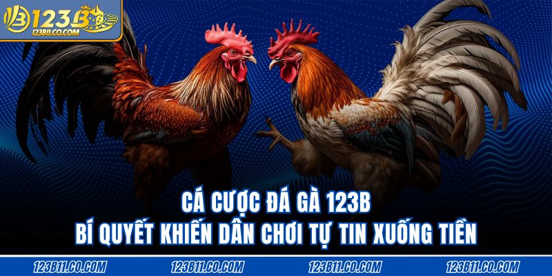 Cá Cược Đá Gà 123B Bí Quyết Khiến Dân Chơi Tự Tin Xuống Tiền
