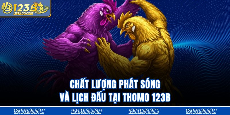 Chất lượng phát sóng và lịch đấu tại Thomo 123B