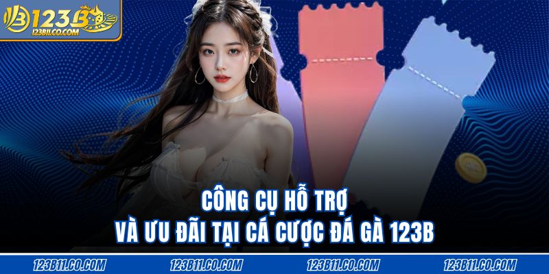 Công cụ hỗ trợ và ưu đãi tại cá cược đá gà 123B