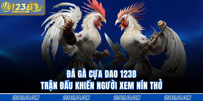 Đá Gà Cựa Dao 123B Trận Đấu Khiến Người Xem Nín Thở