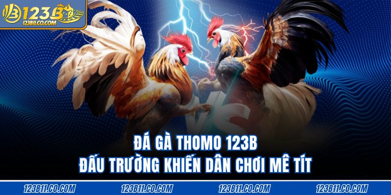 Đá Gà Thomo 123B - Đấu Trường Khiến Dân Chơi Mê Tít