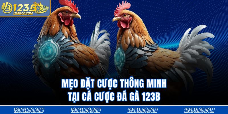 Mẹo đặt cược thông minh tại cá cược đá gà 123B